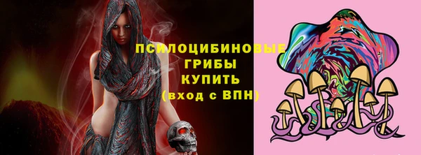 эйфоретик Богданович