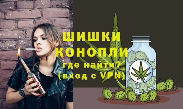 Альфа ПВП Белокуриха