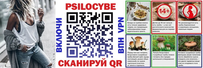 Псилоцибиновые грибы мицелий  где продают наркотики  omg маркетплейс  Торжок 